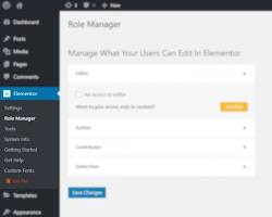 Elementor Pro Role Manager