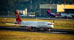 Animawings : ce qu'il faut savoir