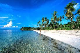 Hasil gambar untuk bunaken