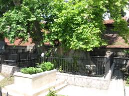 Image result for Military@PH UTILITY BELT