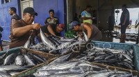 Strengthening Marine and Fisheries to Meet Protein Needs: Ministry