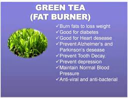 Image result for optrimax plum