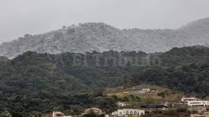 El Tribuno - News update