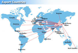 Resultado de imagem para bird scarer from china