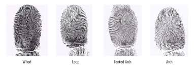 Résultat de recherche d'images pour "fingerprint types"