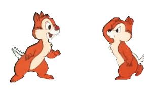 Bildergebnis für écureuil gif animé