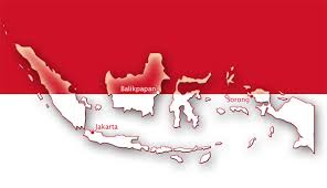 Hasil gambar untuk pecinta alam indonesia