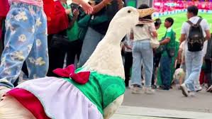 Ecuador - Curazao