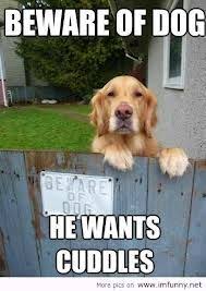 Funny dogs, funny dog pictures, funny dog quotes, humor dogs ... via Relatably.com