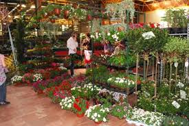 Резултат слика за novosadsko proleće 2015