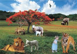 Resultado de imagem para imagem paz na terra