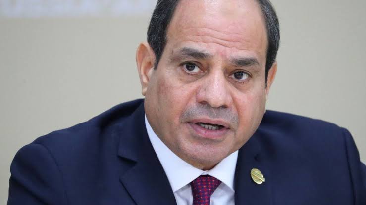 Egypt President Abdul Fattah al-Sisi: Ruler with an iron grip - BBC News