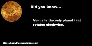 Image result for did you know picture facts