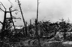 Image result for hiroshima castle before and after
