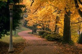 Imagini pentru toamna imagini