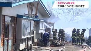 牛舎全焼、牛15頭死ぬ／東北町