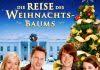 Emily Andrews - die-reise-des-weihnachtsbaums