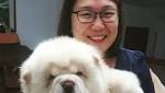 Singaporean killed traffic accident South