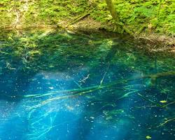 白神山地（青森県・秋田県）の画像