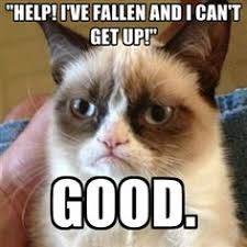 Résultat de recherche d'images pour "help i've fallen and i can't get up"