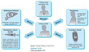 Image result for image penularan HIV