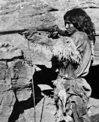 Image result for paiute indians