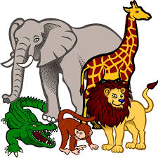 Resultado de imagen de animales