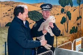 News source: SAPOL - Home