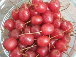 Image result for goumi