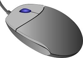Image result for mouse