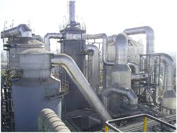 Image result for zinc burn in plants