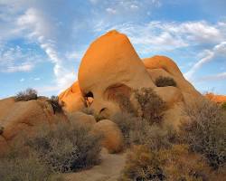 Image of Skull Rock Joshua Tree National Park