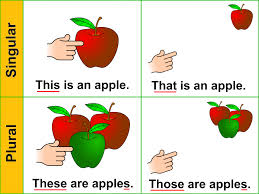 DEMONSTRATIVE PRONOUNS - EXERCISES