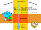 Food Safety Fact Sheet - Critical Temperatures for Food Service