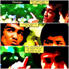 Image result for bruce lee ced