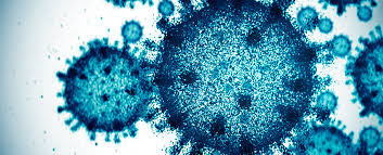 Understanding the Potential Threat of Emerging Viruses: A Critical Analysis. - 1