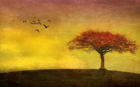 Comed y vest&iacute;os, buscando primero el Reino (que est&aacute; en la Patera) | Imagen 1