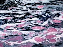 Image result for indonesia water pollution