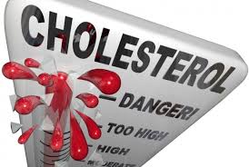 Hasil gambar untuk cholesterol