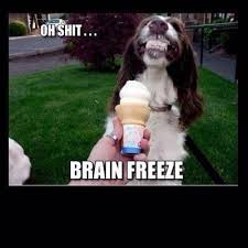 Brain Freeze Dog Meme | Slapcaption.com | Funny Animals ... via Relatably.com