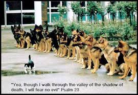Top 11 #Funny Sayings that will make you ROFL | Just Laughs Fun ... via Relatably.com