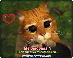 Resultado de imagen para imagenes de amor con frases para pedir perdon