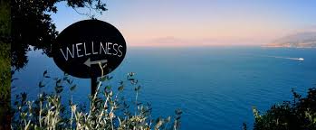 Image result for wellness