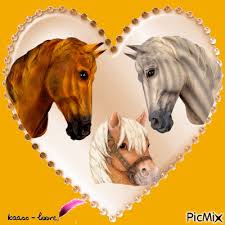 R&eacute;sultat de recherche d'images pour 