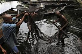 Image result for ogoni