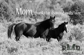 HAPPY MOTHERS DAY!!! #happymothersday from Black Mountain Ranch ... via Relatably.com