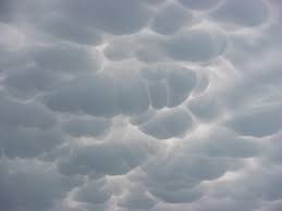 Image result for Mammatus cloud