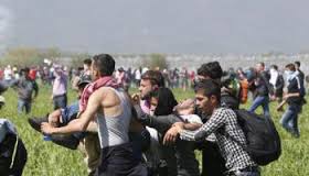 Risultati immagini per celeste ingrao