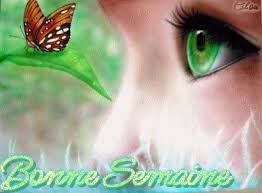 Résultat de recherche d'images pour "bonne semaine"