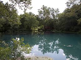 Image result for "Alley Spring"